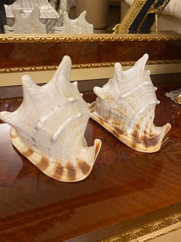 Fiqur lalafo.az -da Fiqur