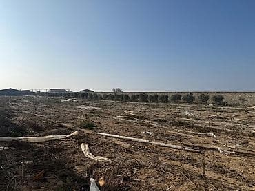 Ev və bağ: Sənaye tipli istixana kompleksi -parnikin Torpağın sahəsi — 2