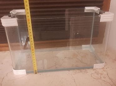 Şüşə akvarium - Ölçülər: təxminən 35 sm uzunluq, 19–20 sm en, 22–23