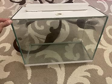 akvariu: Şüşə akvarium – üst qapaqlı - Material: qalın şəffaf şüşə, silikon — 2