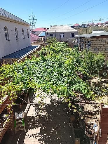 kiraye boş ev: 5 sotun içində 10 otaq 4 hamam sauzer 250 kvadirat həyətdə 50 kvadirat — 9