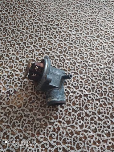 Çeşkanın tetmostatıdır, saz vəziyyətdədir