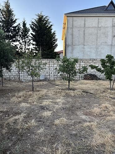 torpaq bakida: 5 sot, Tikinti, Mülkiyyətçi, Kupça (Çıxarış) — 7