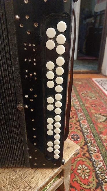 akkardeon: Akustik Akkordeon, İşlənmiş — 3