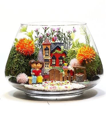 akvar: Akvarium İstənilən növdə, ölçüdə yumru akvariumlar, terrariumlar — 2