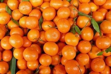 kənd məhsulları: Mandarin — 1