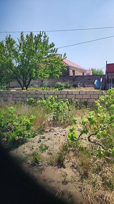 8 sot, Tikinti, Mülkiyyətçi, Kupça (Çıxarış) — 6