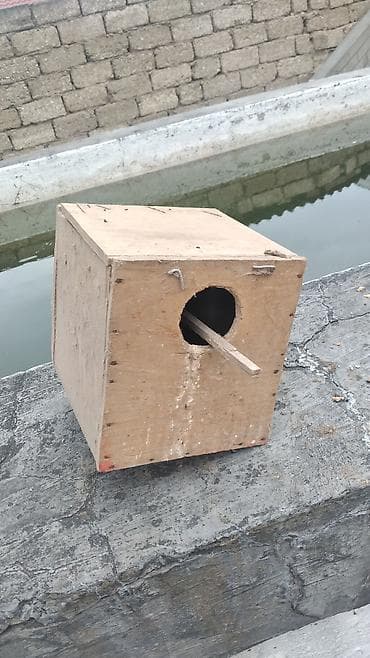 dele heyvan: Taxta quş yuvası/kutubçası - Material: Sərt kontrplak/taxta - Forma — 1