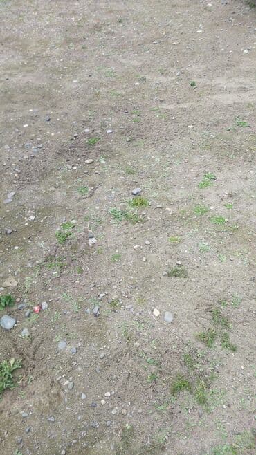 Məhəccərlər: Digər təyinat Qum — 1