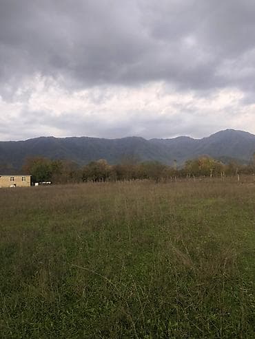 barter kupca: 35000 sot, Kənd təsərrüfatı, Kupça (Çıxarış) — 5