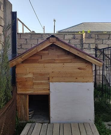 pişik yuvası satılır: Yuva iki qat abşifkaynan yığılıb. Yuvanın ölçüsü çöldən çölə en: 1.40 — 1