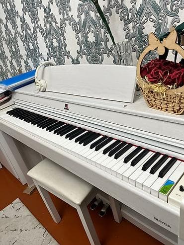 Электротранспорт: Пианино, Mayga, Цифровой — 3