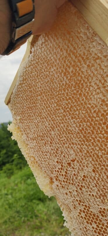 продается мед: Elf bee's 1977 eco product for health and longevity tovuzun — 6