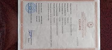 gence kiraye evler 2023: 3 sot, Mülkiyyətçi, Kupça (Çıxarış), Texniki pasport — 2