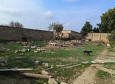 4 sot, Mülkiyyətçi, Bələdiyyə