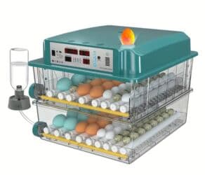 inkubator satisi: Çin, Tam avtomat — 2