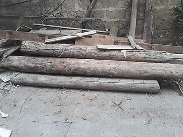 Ağac gövdələri və taxta materialları - Şəkildə görüldüyü kimi