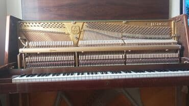 rönisch piano: Пианино, Rönisch, Акустический — 4