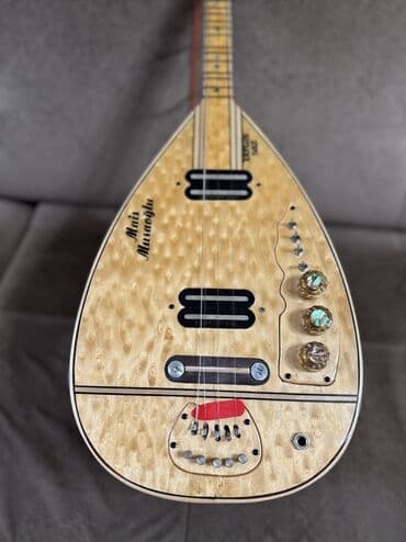 Saz: Sarı saz Yaygın saz evinin alətidi yenidi üstündəki adı lazım olsa — 10