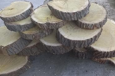 das pilleken sekilleri: Dekor — 1