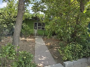 baxca: Təcili Obyekt satışa çıxdı Xalqlar dostluğunda xalqlar parkı ilə 30m — 3