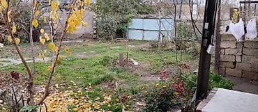 bine atciliq satilan evler: 36 sot, Kənd təsərrüfatı, Mülkiyyətçi, Kupça (Çıxarış) — 1