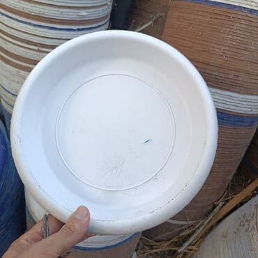 karşok azerbaycan dilinde: Dibçək altliği

topdan 1 azn

tək dibçək altliqlari

Diametri 24 sm — 2