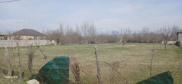 30 sot, Tikinti, Mülkiyyətçi, Kupça (Çıxarış)