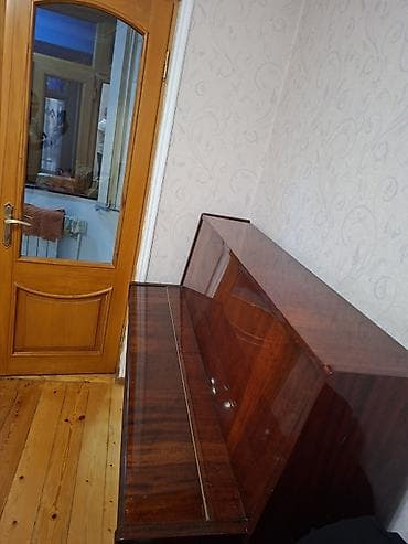 saz simi: Piano, Belarus, Akustik, İşlənmiş — 6