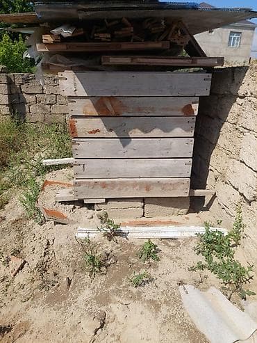 qapi alemi: Məhsul: Taxta otaq qapıları (şüşəli və şüşəsiz modellər) Təsvir: - — 5
