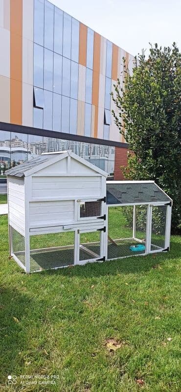 домики для кошек баку: Toyuq yuvası dovşan yuvası
sifariş qəbul olunur — 4