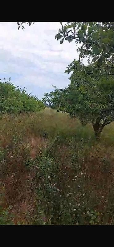 bolt hansi masinlari qebul edir: 150 sot, Biznes üçün, Barter mümkündür, Kupça (Çıxarış) — 8