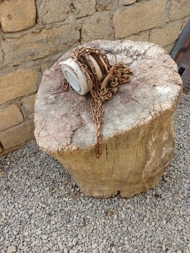 горящие туры в турцию все включено: Kötuk və tal ikisi biryerde 170 manat — 1