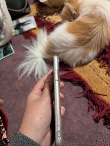 selenium sulfide 2.5 шампунь отзывы: IPhone 11 Gəncə ideal Gəncə də belə ideal telefon yoxdur ZAVOD✅ — 5