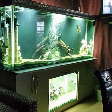 cat: Akvarium-şkaf, 1000 l, Pulsuz çatdırılma — 9