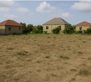 6 sot, Tikinti, Mülkiyyətçi, Kupça (Çıxarış)