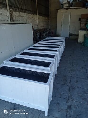 dibçek gulleri: Dibçək güldanlar. Dipçəklər bir başa sexdən.Sex qiymətinə. ♦️Endrim — 4