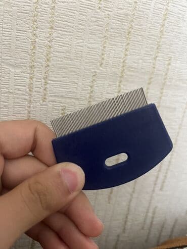 pişik yarım tip: Bit darağı – sıx dişli, metal uclu - Məhsul: Bit və sirkələri — 1