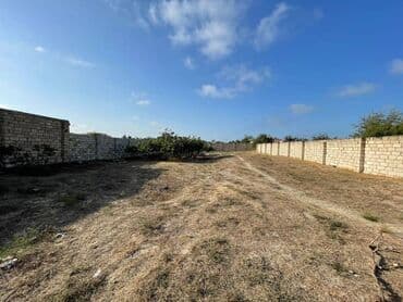 binə qəsəbəsi: 12 sot, Kupça (Çıxarış) — 16