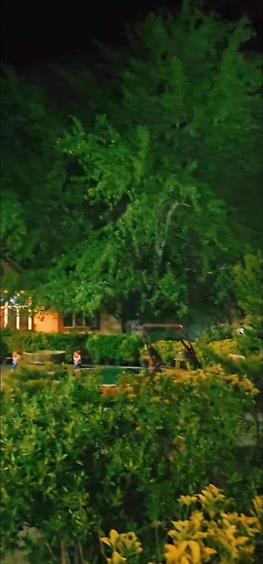 merdekan bag: Digah, 420 kv. m, 9 otaq, Hovuzlu, İşıq — 3