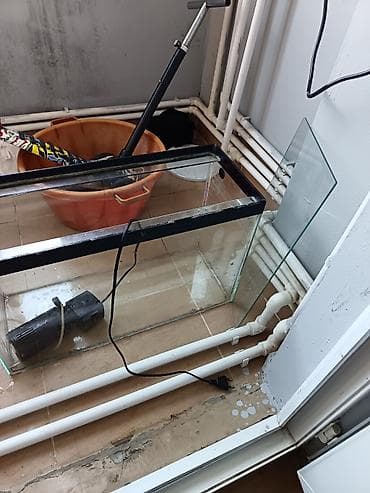 60 23 37 - Şüşə akvaryum: düzbucaqlı forma, yuxarı hissədə qara