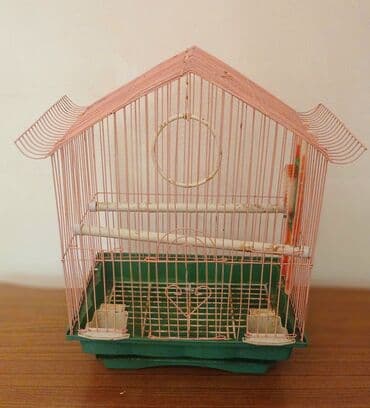 quş qəfəsi: Çəhrayı rəngli, normal ölçülü quş qəfəsi. Yem və su üçün iki ədəd qabı — 2