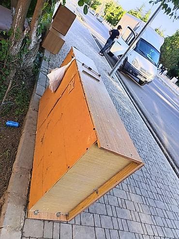 taxta tavan: Normal vəziyyətdədir çox yaxşı nədə çox pis deyil. Masallıda — 2