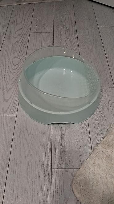 cucə yem qabı: Şəffaf kənarlı, açıq yaşıl rəngdə plastik pişik/quş/kiçik heyvan üçün — 2