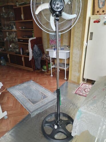 milçək qovan aparat: Ventilyator Yeni, Döşəməüstü, Pərli, Kredit yoxdur, Ünvandan götürmə — 5