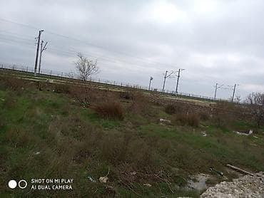 gence torpaq: Tikinti — 5