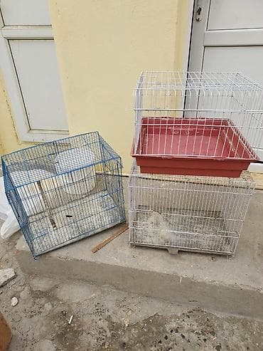 Satılır: Quş qəfəsləri dəsti - Üç ədəd metal qəfəs: 1 ədəd mavi