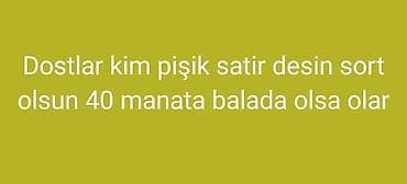 kangal iti qiymeti: Şotland, Erkək, Yaxşı əllərə, Ünvandan götürmə — 1