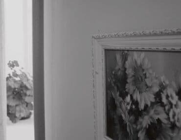 canon eos 650: Kamera yenikimidir baxmayaraq ki 1999 istehsalıdır,Hal hazırdada — 9