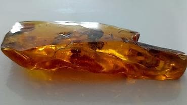 Янтарь, Бесплатная доставка — 1